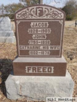 Jacob L Freed