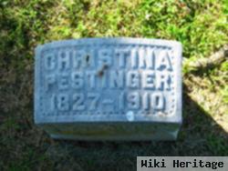 Christina Schubert Pestinger