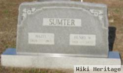 Henry William Sumter