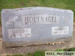 Arnold Albert Hollnagel