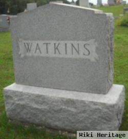 Infant Sons Watkins