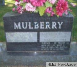 Albert Ervin Pike Mulberry