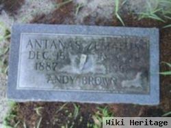 Antanas "andy Brown" Zemaitis