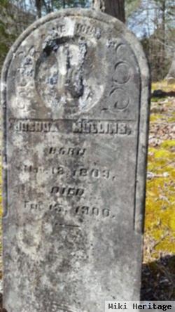 Joshua Muriel Mullins, Jr