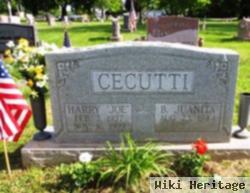 Harry "joe" Cecutti