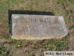 Mary Elizabeth "lizzie" Medlin Lewis