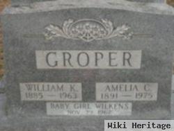 Amelia C Groper