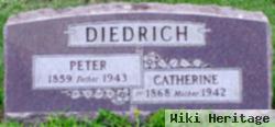 Peter Diedrich