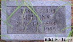 Jesse Leebob Mullins