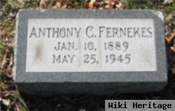 Anthony C Fernekes