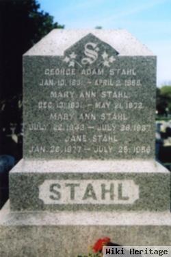 Mary Ann Leiser Stahl