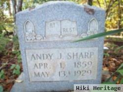 Andy J. Sharp