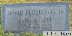 David Floyd Fox, Jr