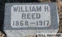 William H Reed