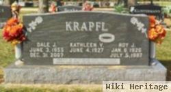 Roy J. Krapfl