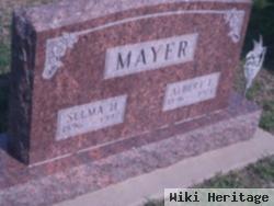 Albert Mayer, Jr