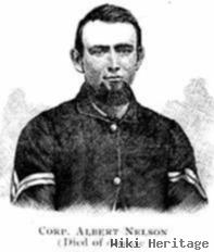 Albert Day Nelson