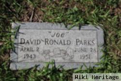 David Ronald Parks