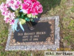 Iris Odessa O'neal Brosky Hicks