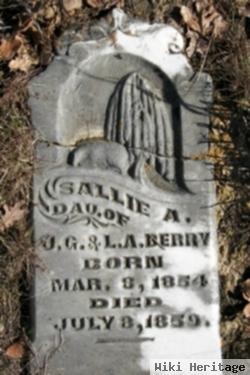 Sallie Ann Berry