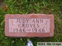 Judy Ann Groves