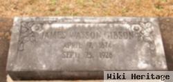 James Watson Gibson