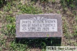 James Melvin Brown