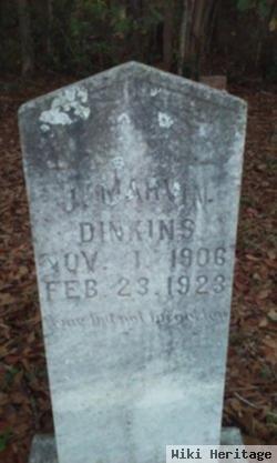 James Marvin Dinkins