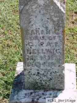 Sarah C Hellwig