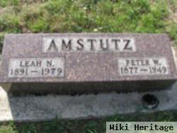 Peter W Amstutz