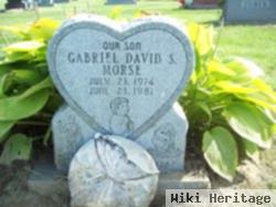 Gabriel David S Morse