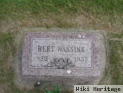 Bert Wassink