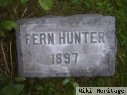 Fern Hunter