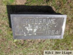 Catherine Perkins Updyke