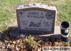 James Allen Wynegar