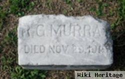 R. G. Murray