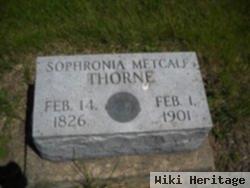 Sophronia Metcalf Thorne