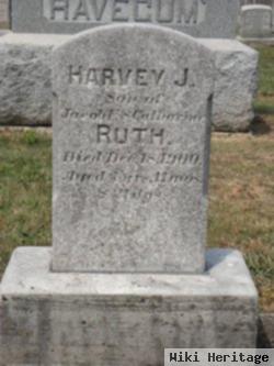 Harvey J. Ruth