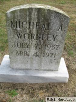 Michael A. Worsley