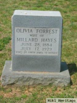 Olivia Forrest Hayes