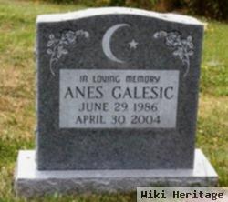 Anes Galesic