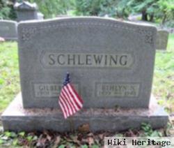 Ethlyn N. Schafer Schlewing