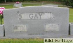 Lucy N. Taylor Gay