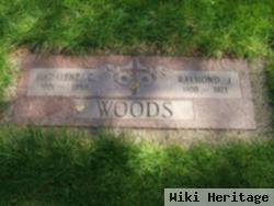 Raymond J Woods