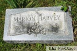 Marion Harvey