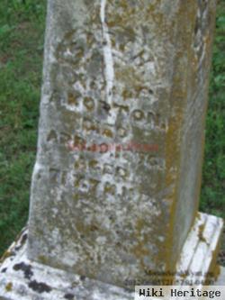 Sarah Wyatt Morton