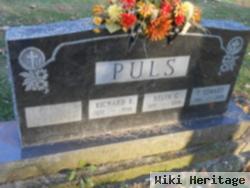 E. Edward Puls