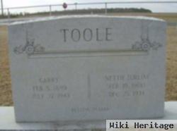 Nettie Lurline Fogle Toole