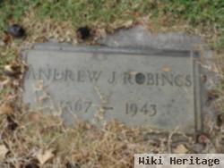 Andrew J. Robings