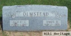 Alice C Olmstead